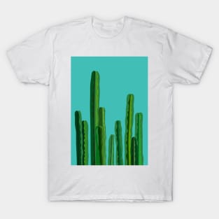 Cacti ( teal background ) T-Shirt